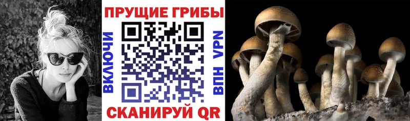 mega сайт  Подпорожье  Галлюциногенные грибы MAGIC MUSHROOMS 